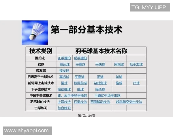 南京羽毛球队配合战术深度解析与其他球队的比较分析