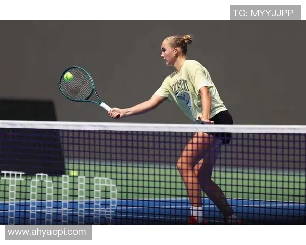 武汉网球队在锦标赛中的灵活应变能力与战术执行力全面解析