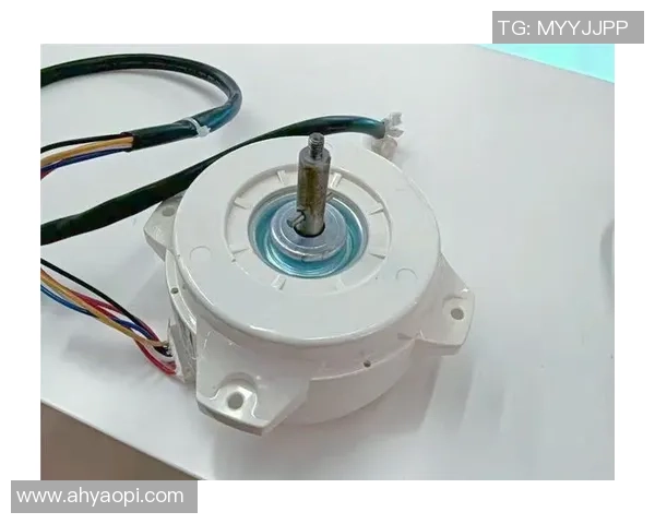 赵静独家分享篮球心得与技巧助你提升球技的全面指南 赵静独家分享篮球心得与技巧助你提升球技的全面指南