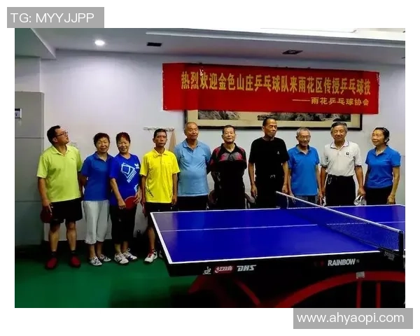 深入探讨北京乒乓球队技术特点与其他球队的差异分析