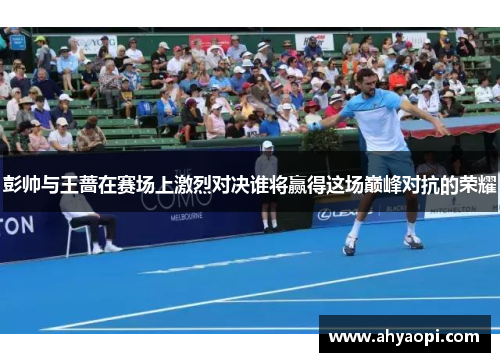 彭帅与王蔷在赛场上激烈对决谁将赢得这场巅峰对抗的荣耀